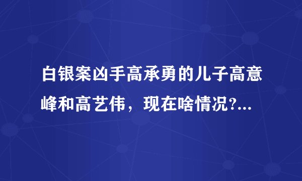 白银案凶手高承勇的儿子高意峰和高艺伟，现在啥情况?有消息吗