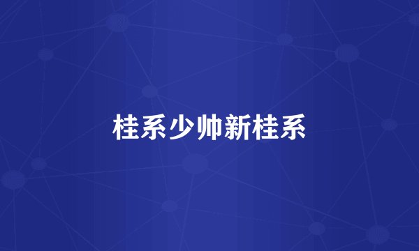 桂系少帅新桂系