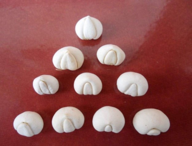 怀中抱月”是形容哪个药材的特征