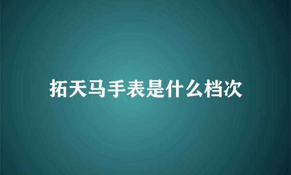 拓天马手表是什么档次