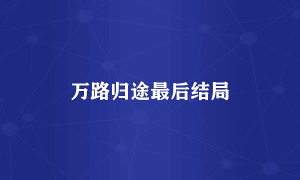 万路归途最后结局
