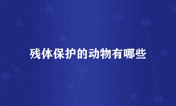 残体保护的动物有哪些