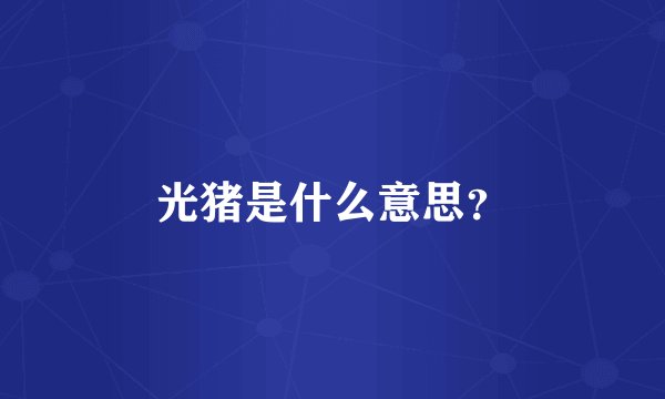 光猪是什么意思？