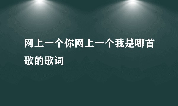 网上一个你网上一个我是哪首歌的歌词