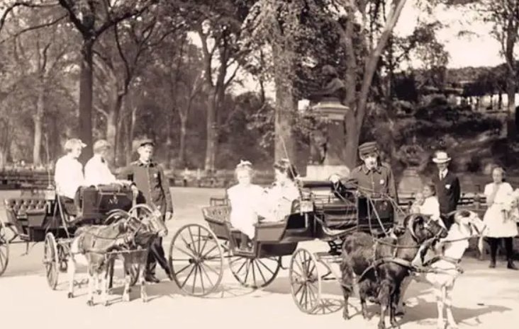 二十世纪是哪年到哪年