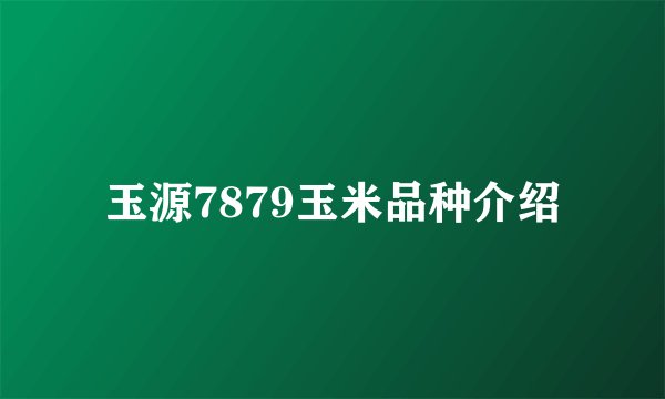 玉源7879玉米品种介绍