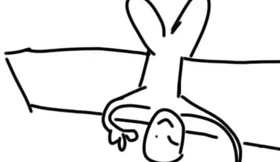 倒挂是什么意思啊