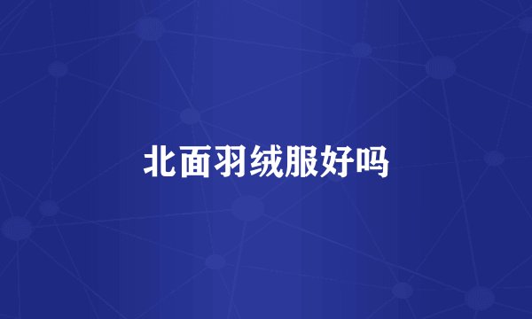 北面羽绒服好吗