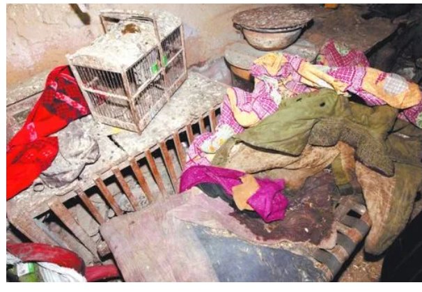 不是我国宪法规定的内容是哪一个