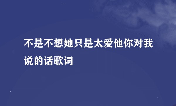 不是不想她只是太爱他你对我说的话歌词