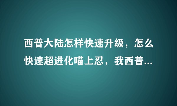 西普大陆怎样快速升级，怎么快速超进化喵上忍，我西普号20030103a