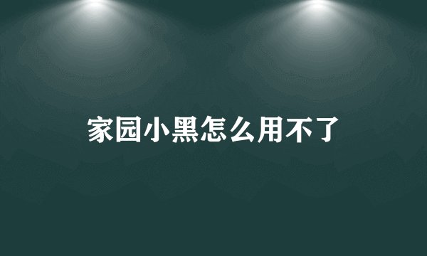 家园小黑怎么用不了
