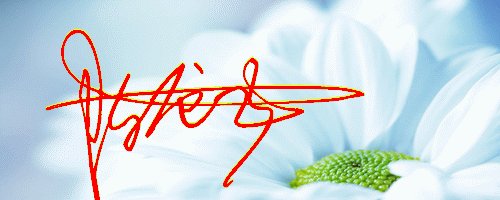 陈龙飞艺术签名