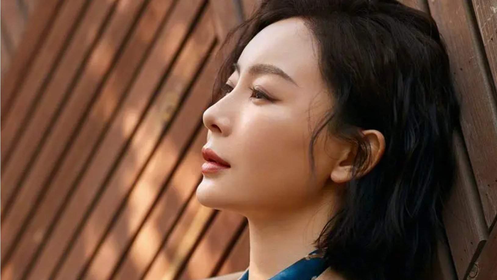 陈数演过的电视剧