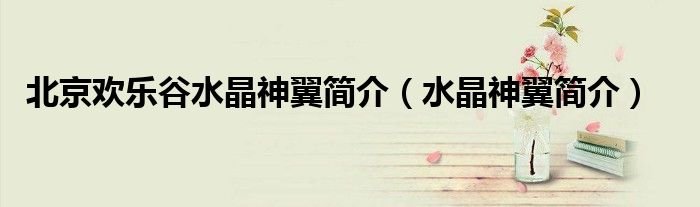 北京欢乐谷水晶神翼简介水晶神翼简介