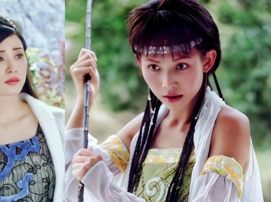 蔡少芬演过的电视剧有哪些