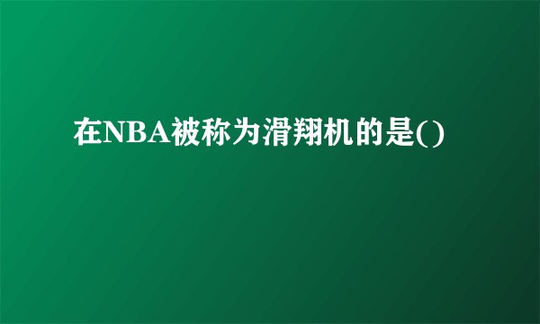 在NBA被称为滑翔机的是()