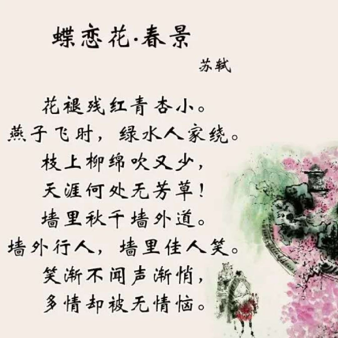 花褪残红春杏小全诗