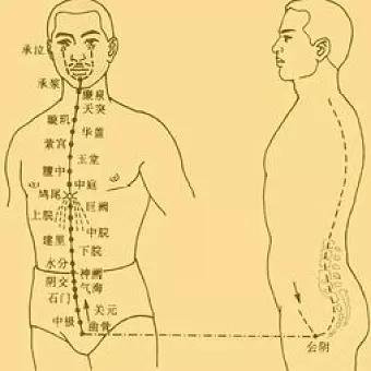 对奇经八脉论述正确的是