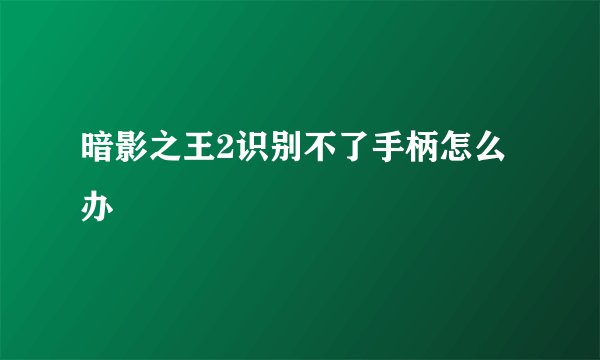 暗影之王2识别不了手柄怎么办