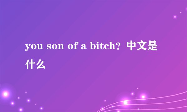 you son of a bitch？中文是什么