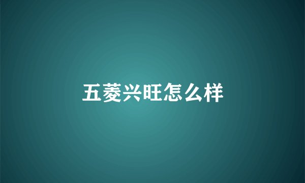 五菱兴旺怎么样
