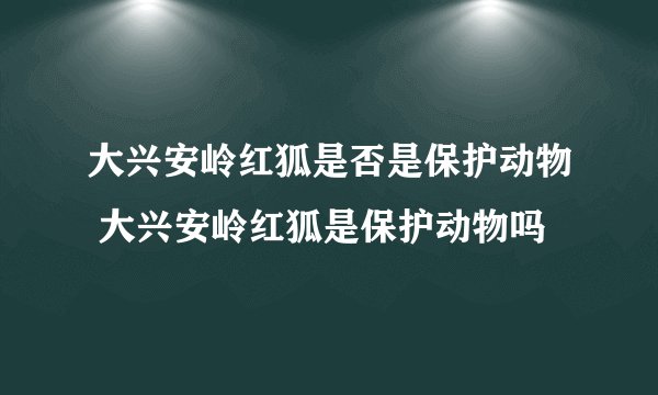 大兴安岭红狐是否是保护动物 大兴安岭红狐是保护动物吗