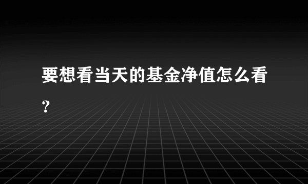 要想看当天的基金净值怎么看？
