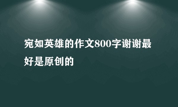 宛如英雄的作文800字谢谢最好是原创的