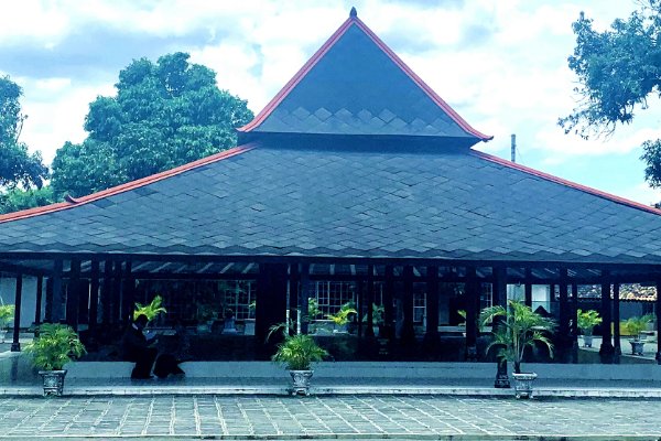 tom haya omak manta的意义