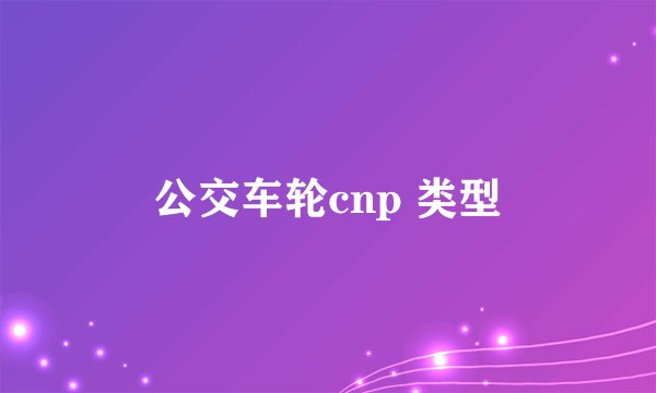 公交车轮cnp 类型