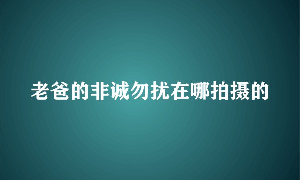 老爸的非诚勿扰在哪拍摄的