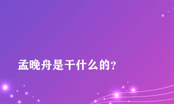 
孟晚舟是干什么的？

