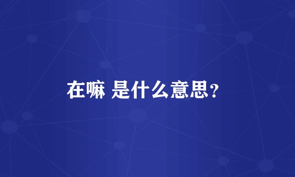 在嘛 是什么意思？