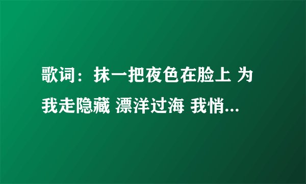歌词：抹一把夜色在脸上 为我走隐藏 漂洋过海 我悄悄上路 这句是那首歌里的