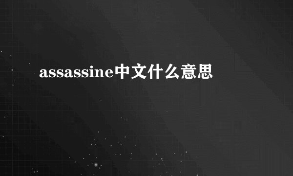 assassine中文什么意思