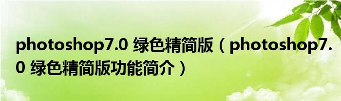 photoshop7.0是什么版本