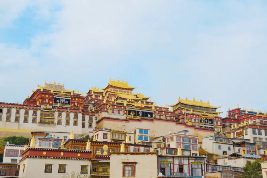 shangrila是什么意思中文