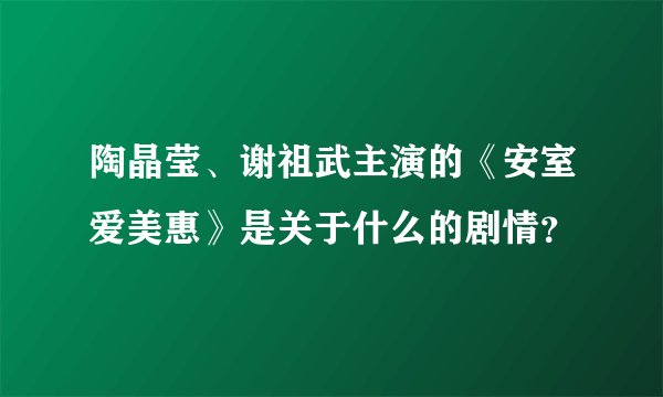陶晶莹、谢祖武主演的《安室爱美惠》是关于什么的剧情？