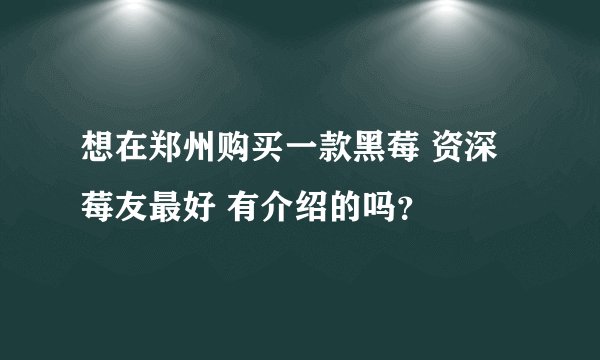 想在郑州购买一款黑莓 资深莓友最好 有介绍的吗？