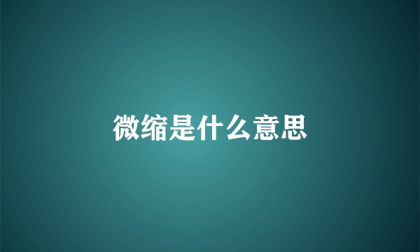 微缩是什么意思