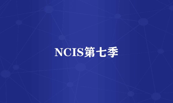 NCIS第七季