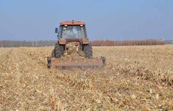 八五计划胜利完成的时间是什么？