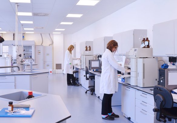 科学家让5000只蚊子叮自己,他这是为了研究什么?