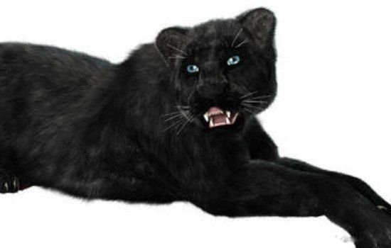 霸王猇真的存在吗灭绝了吗 霸王猇为什么灭绝