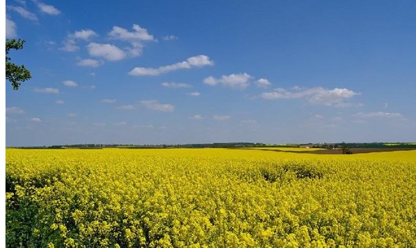 “不负时光不负卿，不负春光不负己”的全句是什么？