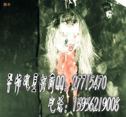 实体幽灵的基本信息