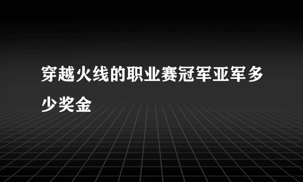 穿越火线的职业赛冠军亚军多少奖金