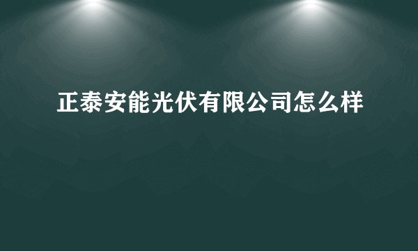 正泰安能光伏有限公司怎么样