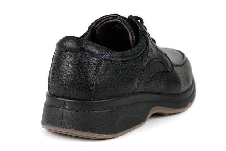 高镫的GORDEM的技术含量